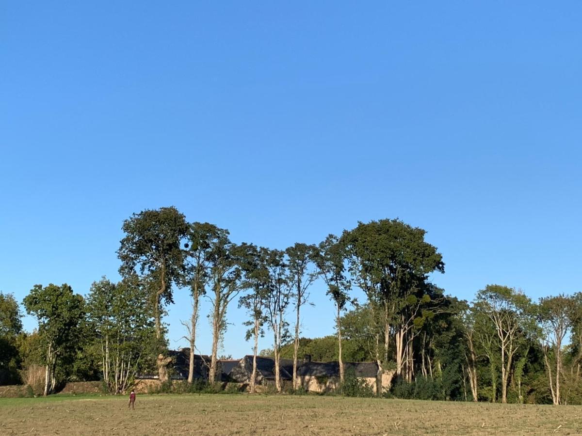 Jolie Metairie D'Une Seigneurie Bretonne. Peaule Ngoại thất bức ảnh